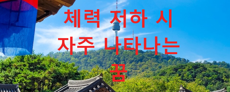 꿈과건강
