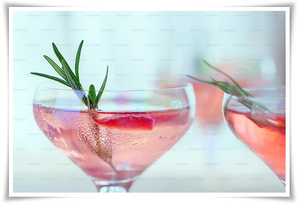 화초 "로즈마리" 집 안 공기를 정화하는 향기로운 반려식물!