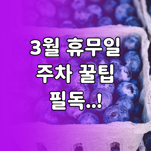 홈플러스 파주운정점 3월 휴무일 정보..