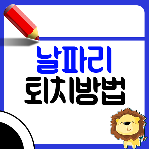 집에 날파리가 생기는 이유와 퇴치 방법1