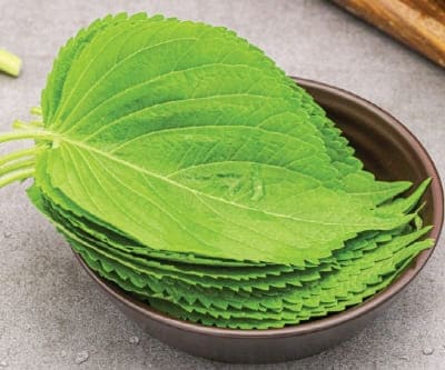 깻잎