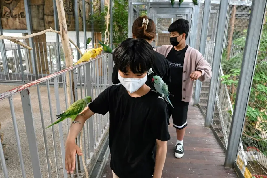 오산 버드파크 후기 사진23