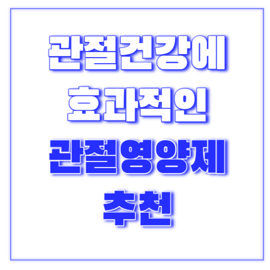 관절영양제추천