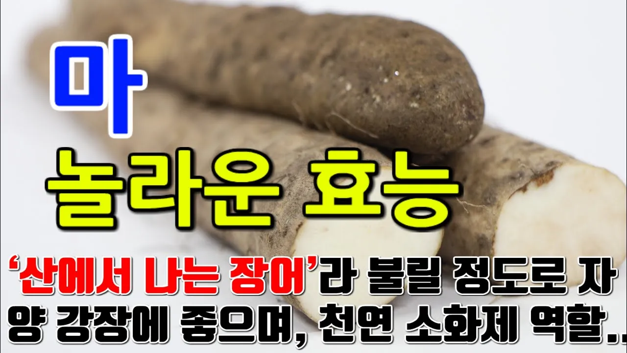 마 효능 보관법 먹는법 마즙 만들기까지 종합 가이드_1