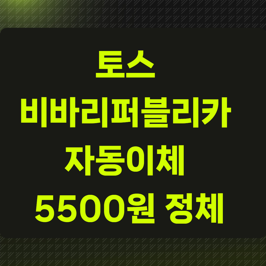 토스 비바리퍼블리카 자동이체 5500원 정체