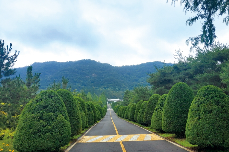 전국 국립 치유의 숲 예약