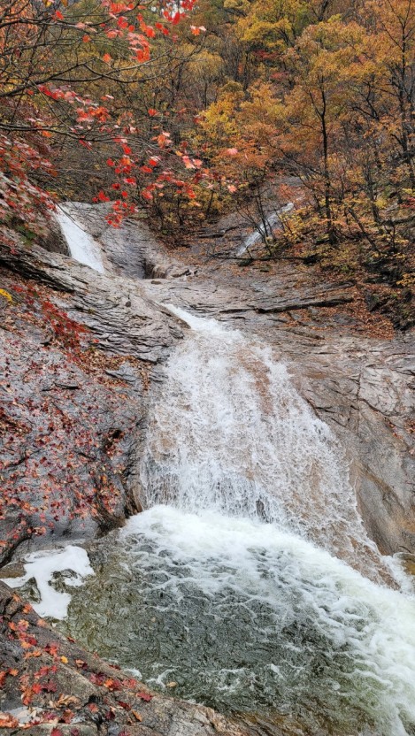 설악산 단풍시기