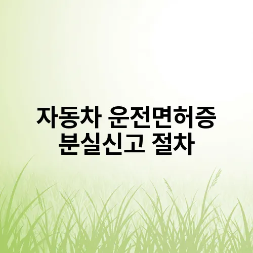 자동차 운전면허증 분실신고 절차