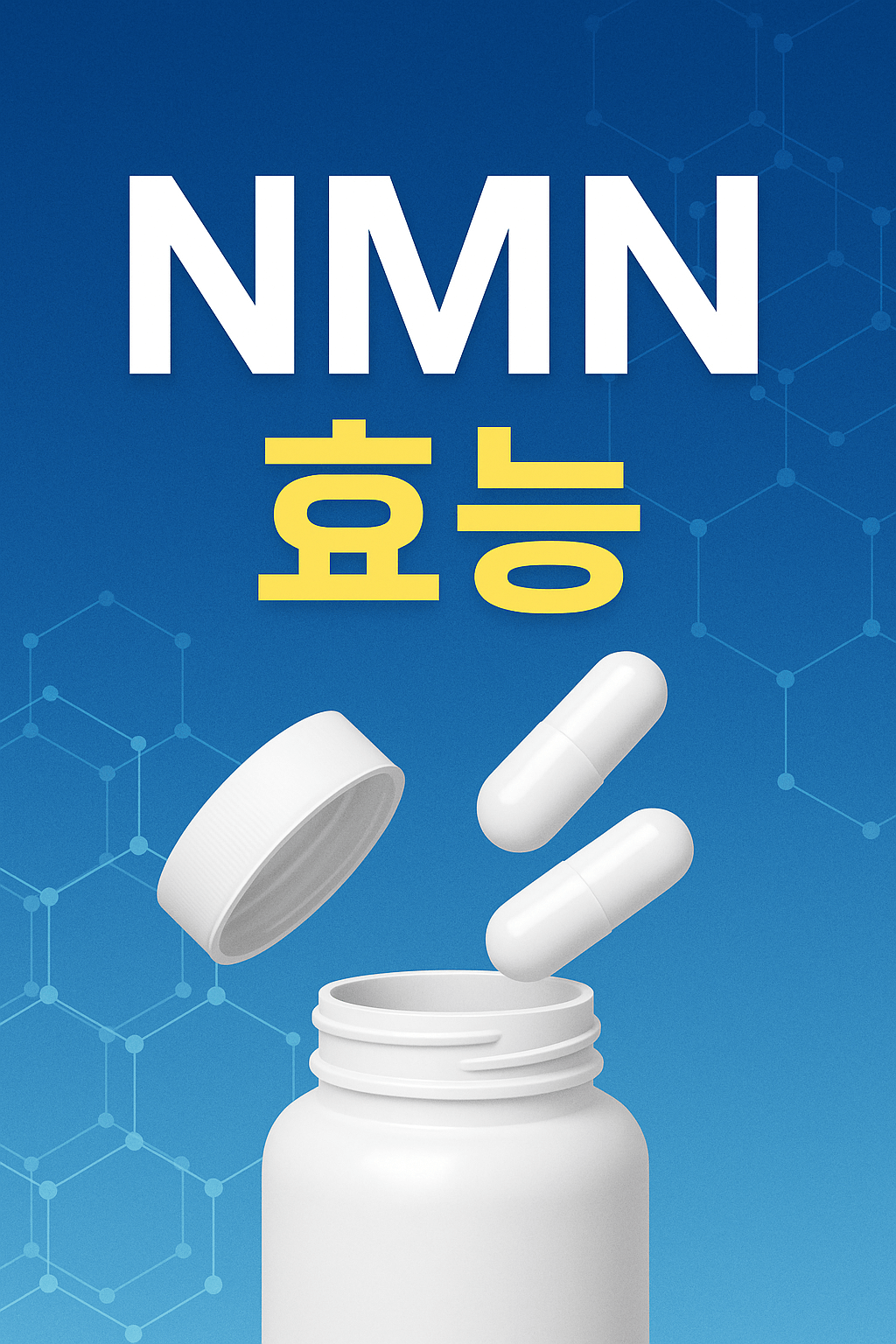 NMN 효능 및 부작용