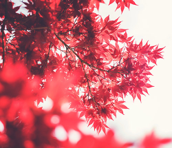 한부모-가정-지원금보기