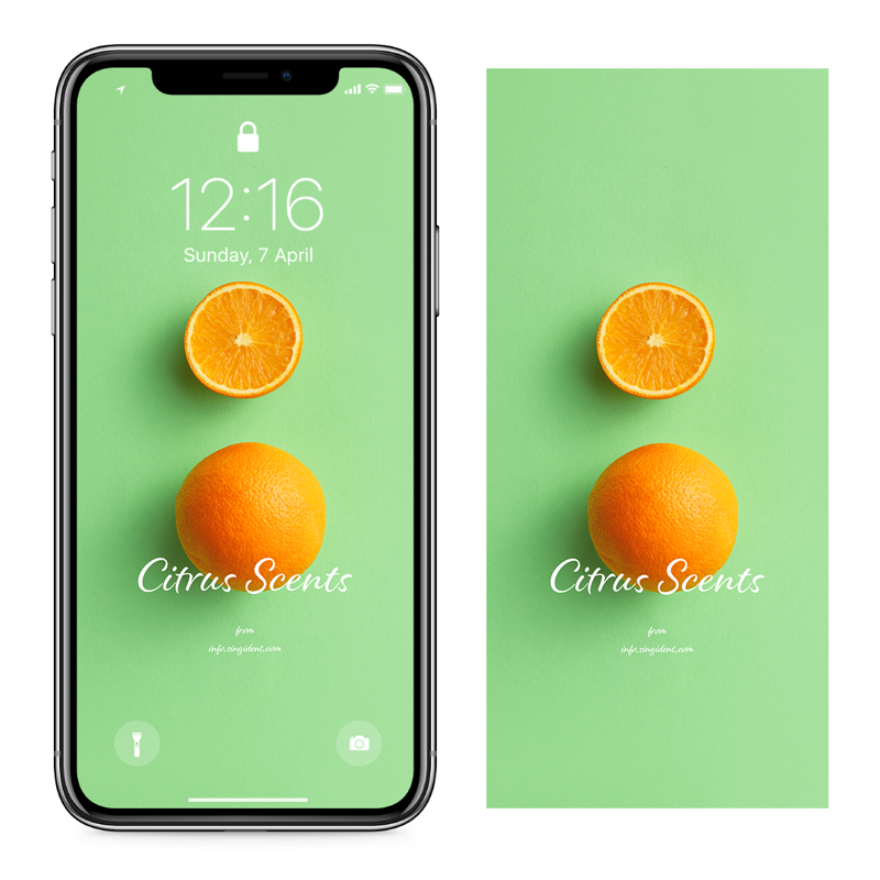 07 오렌지 연두색 배경 C - Citrus Scents 아이폰주황색배경화면