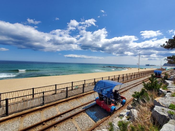 강릉 겨울여행 아이와 가볼만 한 곳 best3