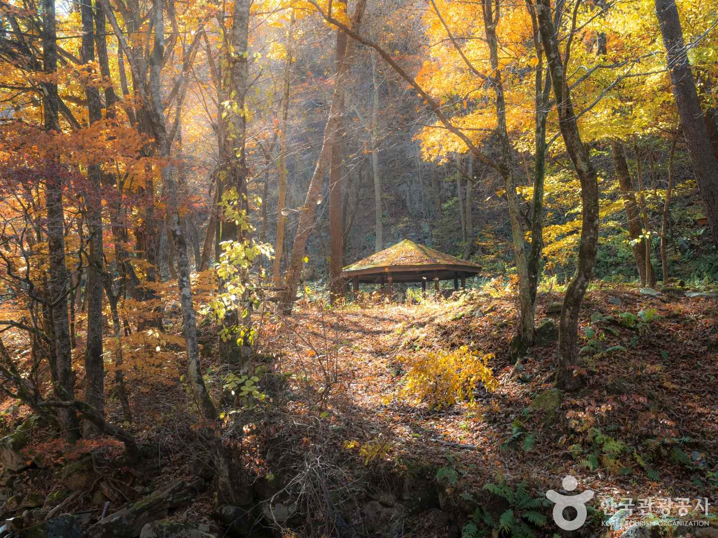 국립방태산자연휴양림