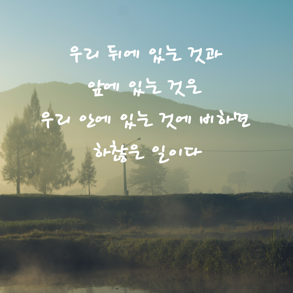캘리그라피 짧고 좋은 글귀 인생 명언 모음