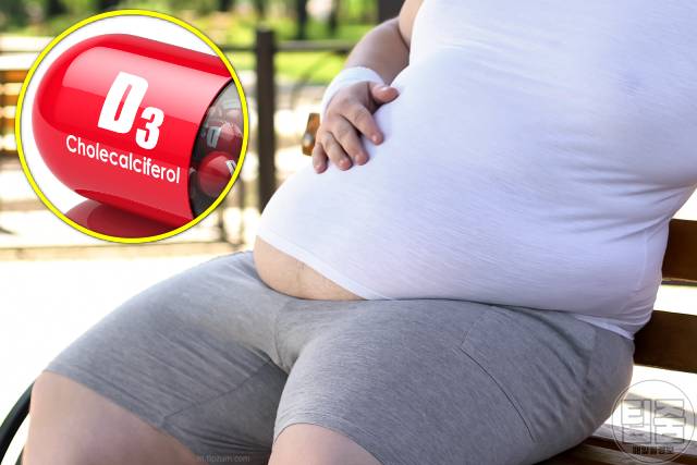 내장지방 빼는법 지방간 제거,비타민D3 효능