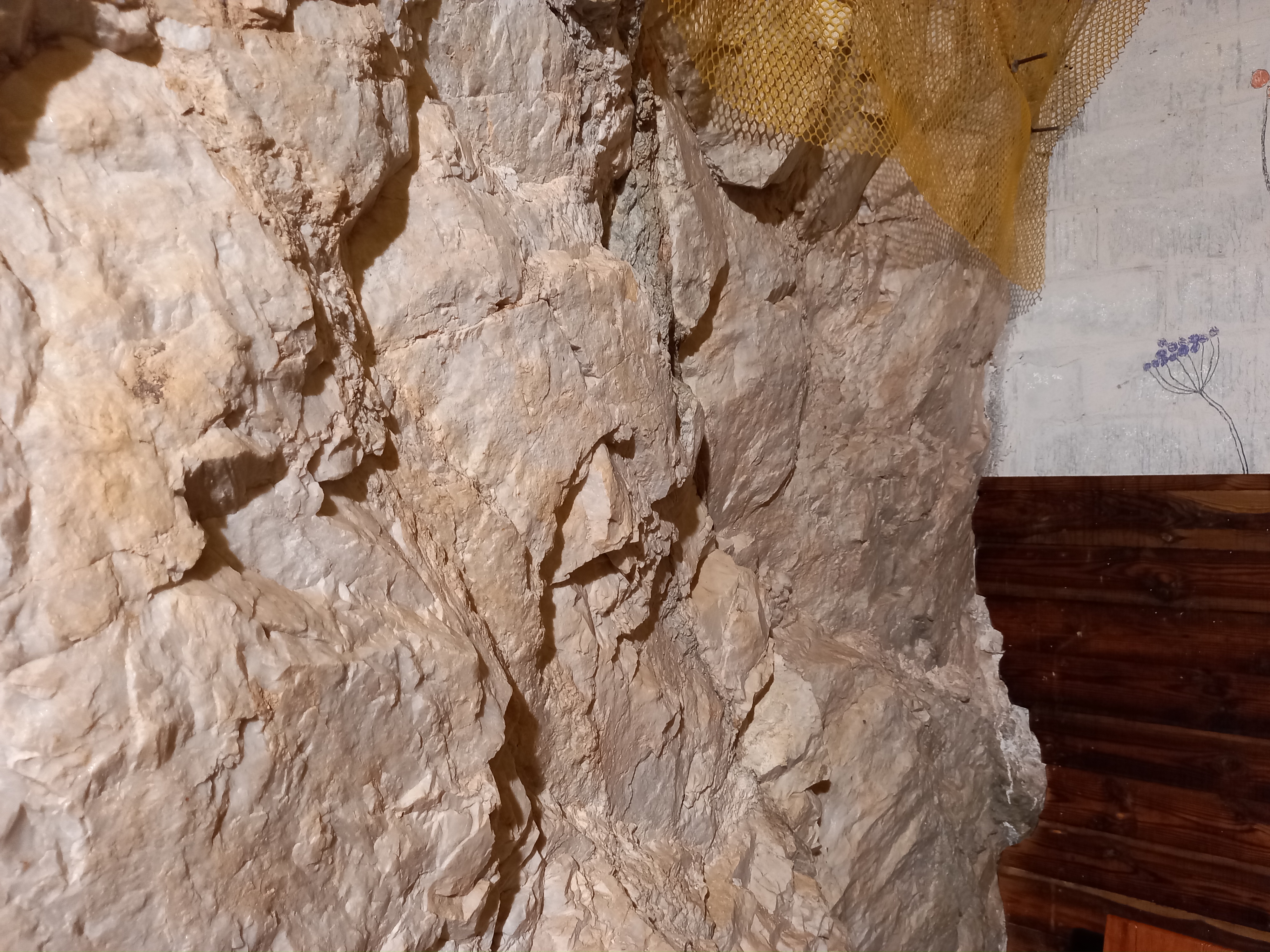 ์ถฉ์ฃผ ํ์ฅ๋๊ตด