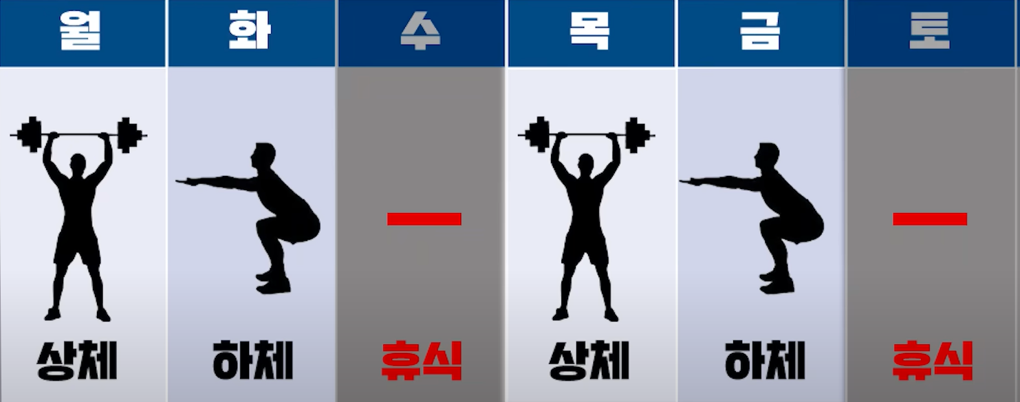 직장인 추천 운동 루틴