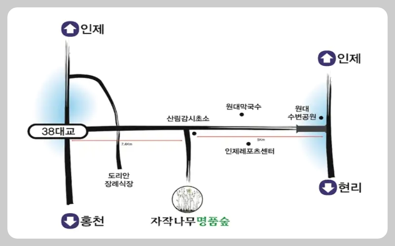 인제 자작나무 숲 가는 길