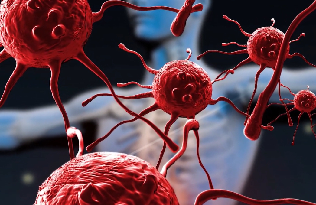 노니 효능 부작용