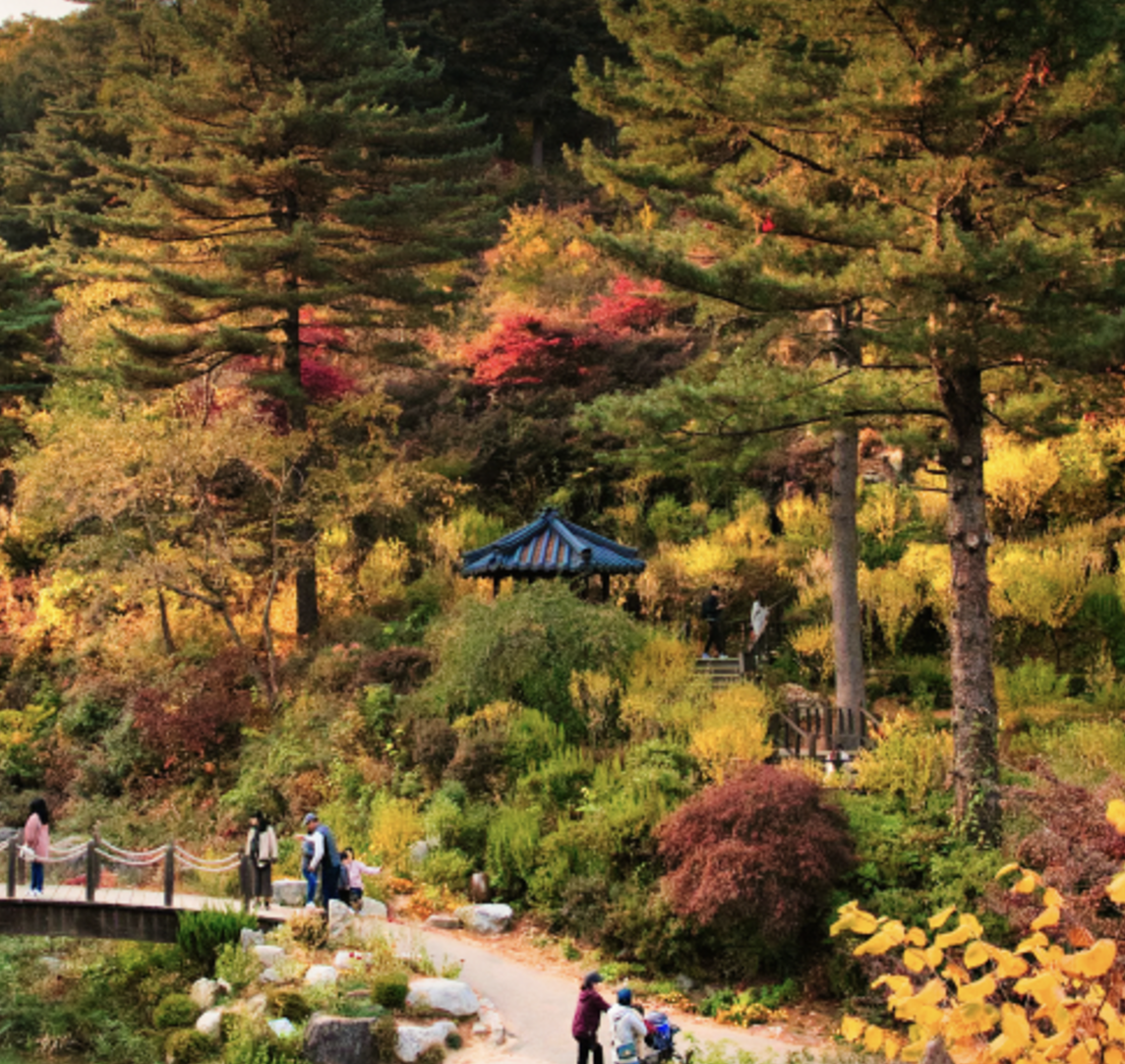 아침고요수목원의 사계절