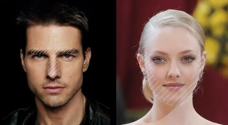 남자의 T존, 여자의 U존