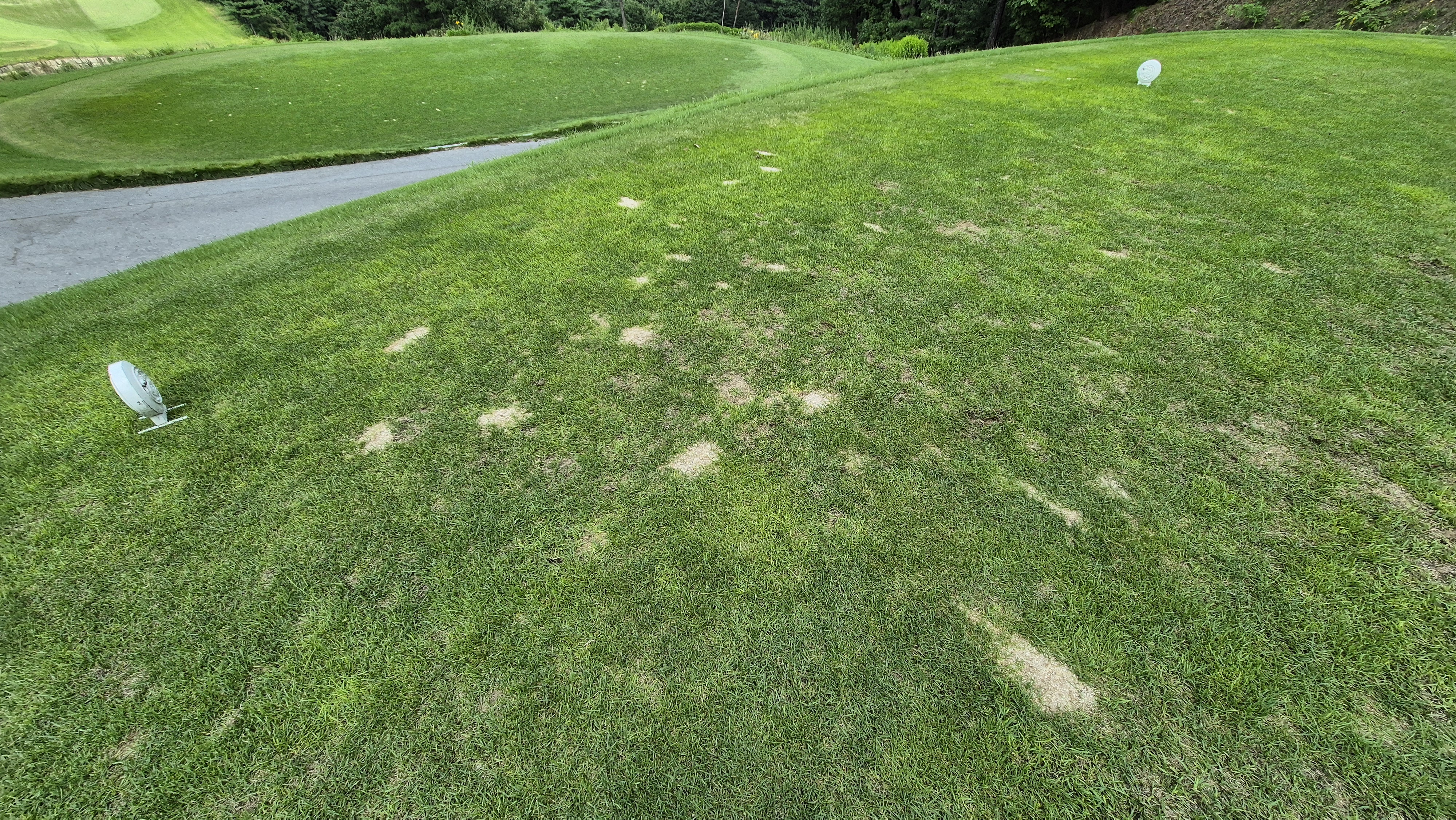 참밸리cc 라운드 후기