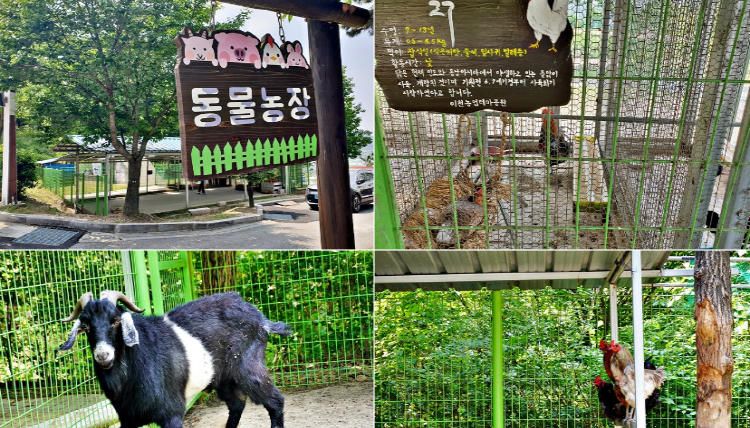 이천 농업테마공원