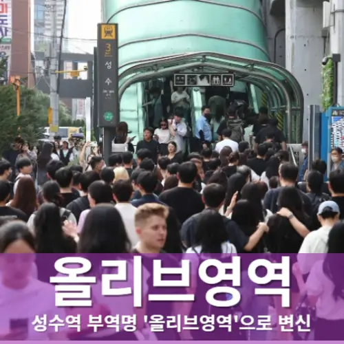 올리브영역 성수역