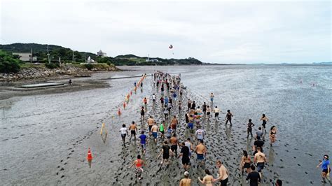 머드 축제 관련 이미지