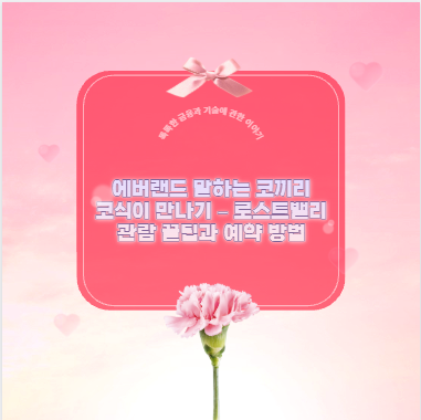 에버랜드 말하는 코끼리 코식이 만나기 – 로스트밸리 관람 꿀팁과 예약 방법