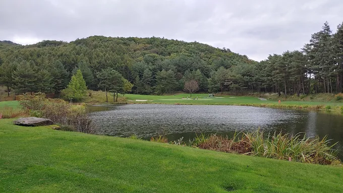 강원도 휘닉스파크 CC 골프장 소개 및 예약방법