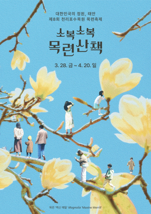 천리포수목원목련축제