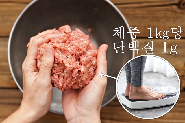 단백질 하루 섭취량, 근육량 늘리는 방법, 근육 부자, 근감소증 좋은 음식 운동, 건강 팁줌 매일꿀정보