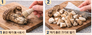 송이버섯 보관방법 (계절별, 냉장, 냉동보관) 총정리
