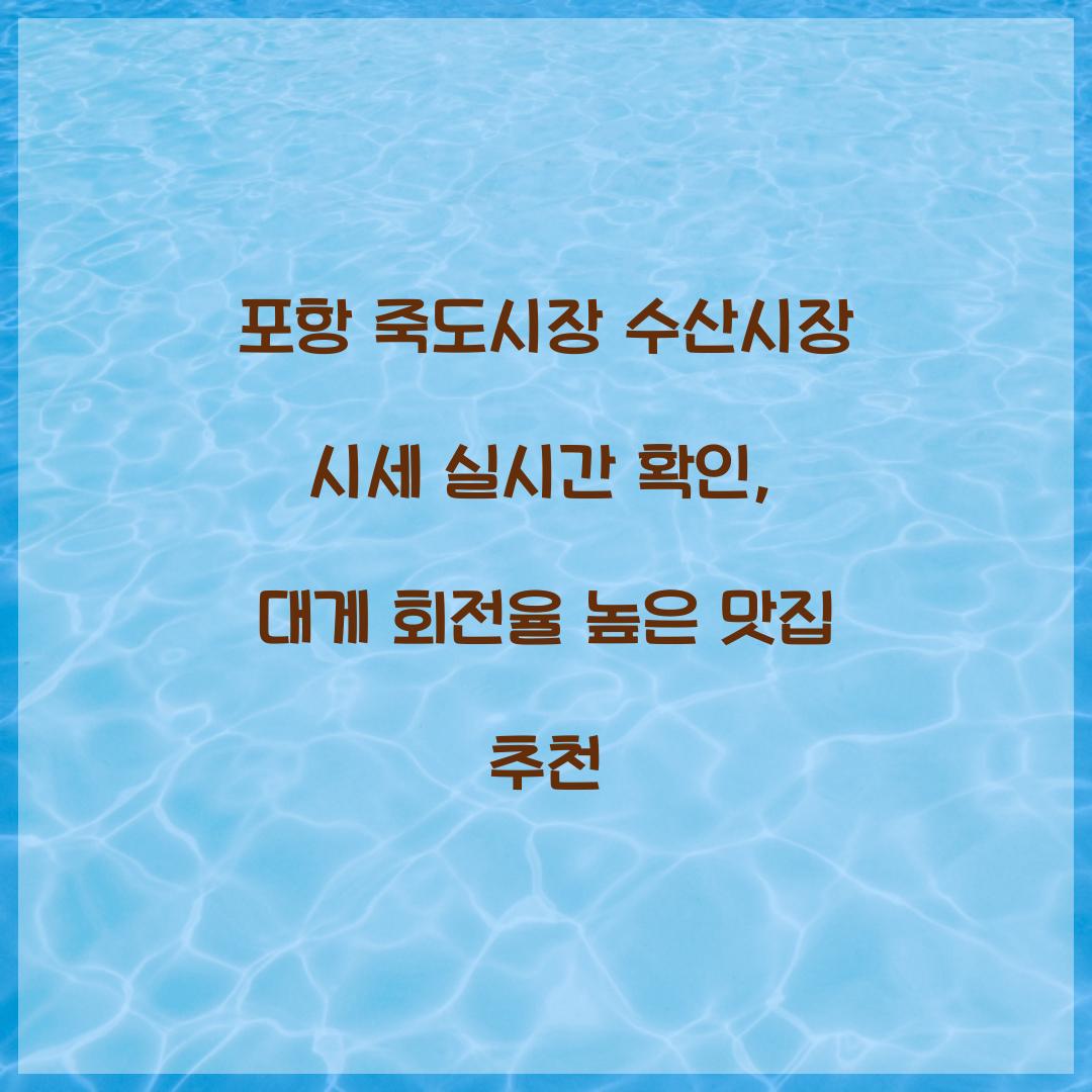 포항 죽도시장 수산시장 시세 실시간 확인