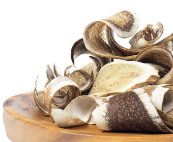 녹각 남성 건강에 탁월한 이유