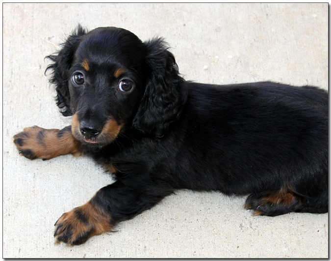 ์๊ธฐ ๋ฅ์คํํธ