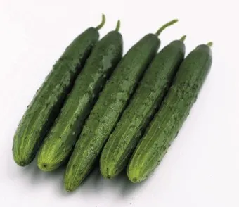 nv_오이 칼로리_16