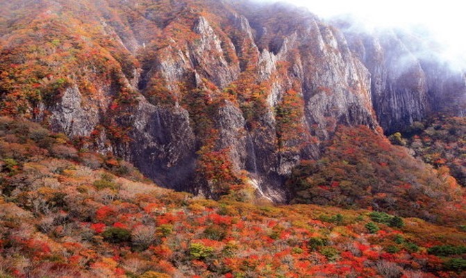 한라산 단풍