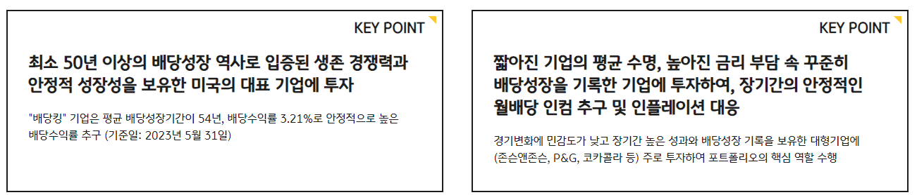 KBSTAR 미국S&P배당킹 ETF