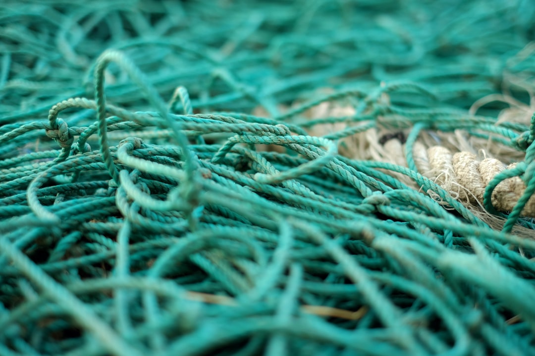 Net