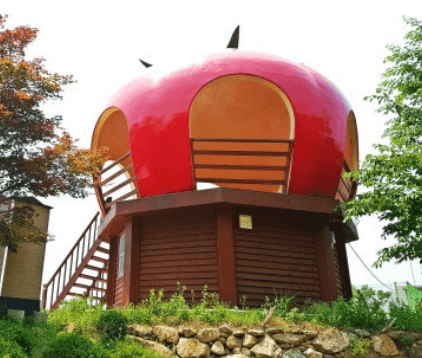 제23회 퇴촌토마토거리축제 일정&amp;#44; 프로그램&amp;#44; 꿀팁