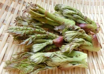 4월 제철음식 제철 생선 과일 채소 모음_11