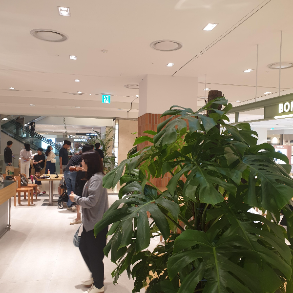 현대 백화점 목동점 보난자 커피 로스터스 (Bonanza Coffee Roasters)_매장 내부