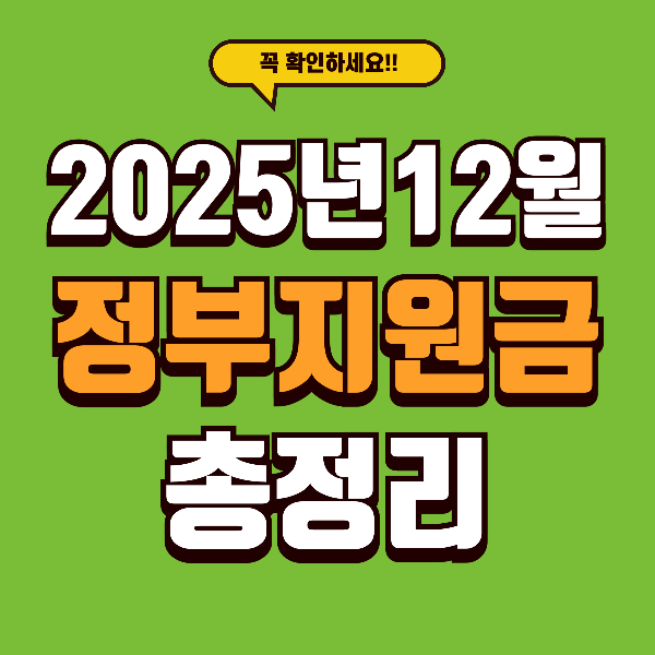 12월부터 달라지는 지원금 총정리! 놓치면 손해 나는 혜택 모음
