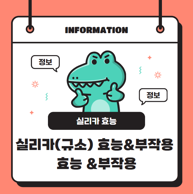 실리카(규소) 효능&부작용 알고 먹자! +복용법, 추천 영양제