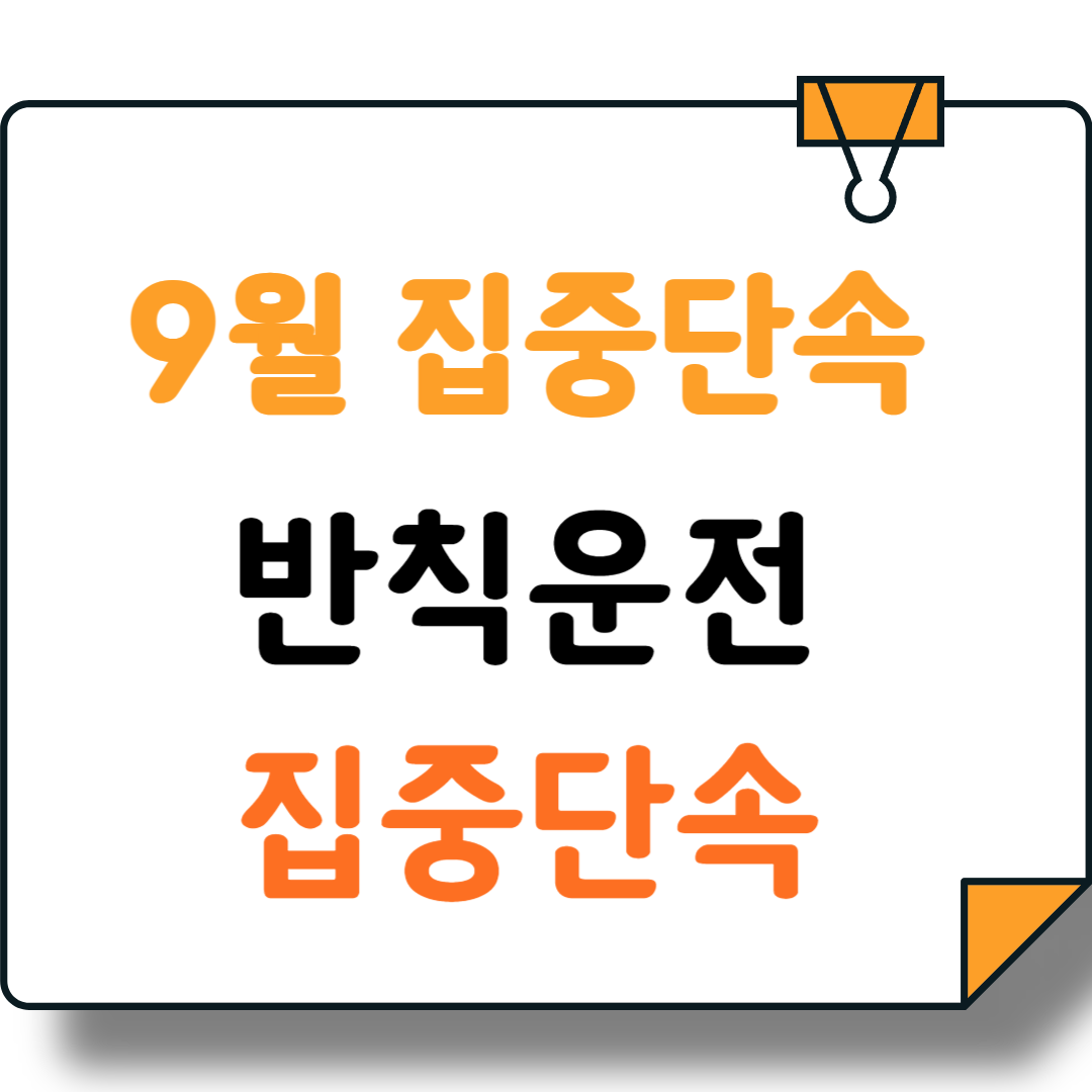 25년 9월 1일 ~ 5대 반칙운전 "집중단속" 각 지역마다 핵심 정보까지 !