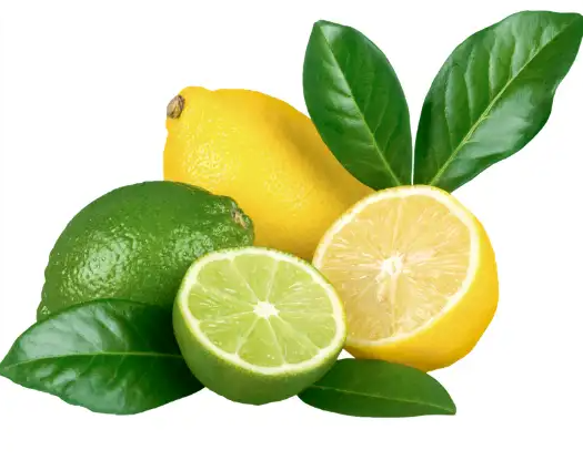 역류성 식도염에 좋은 음식, 안 좋은 음식