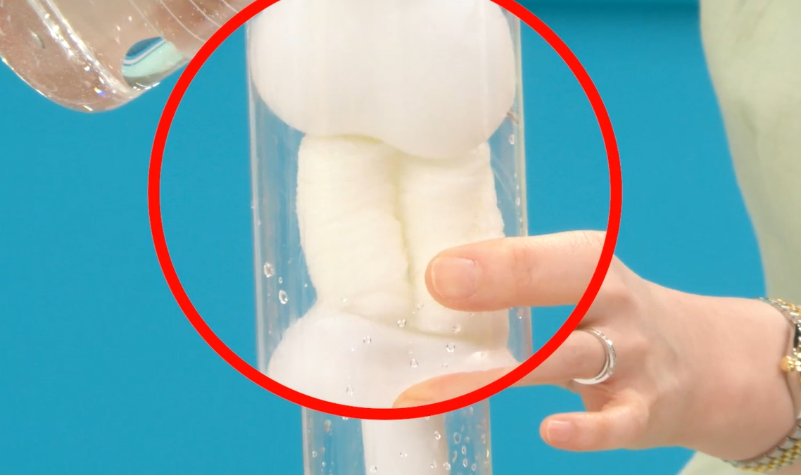 콘드로이친 효능