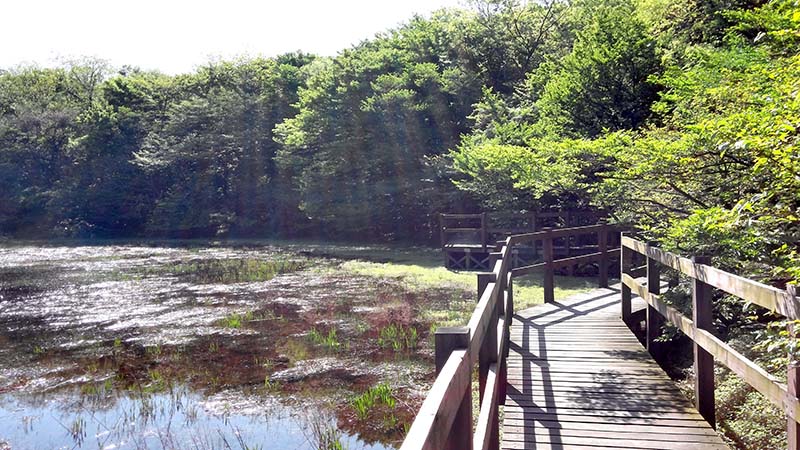 물영아리와 물보라길